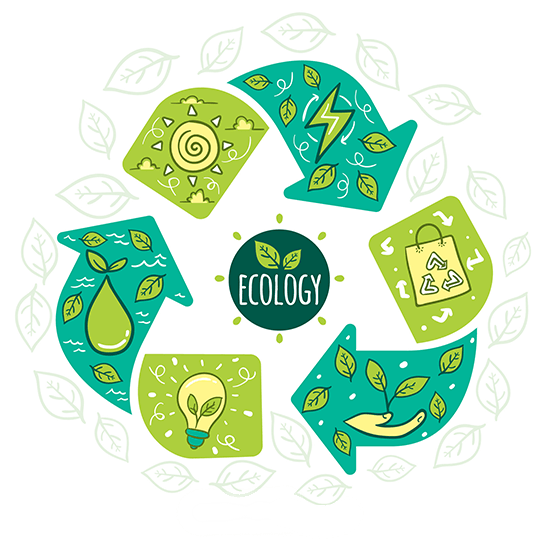 TVT体育高度重视供应链可持续性的维护