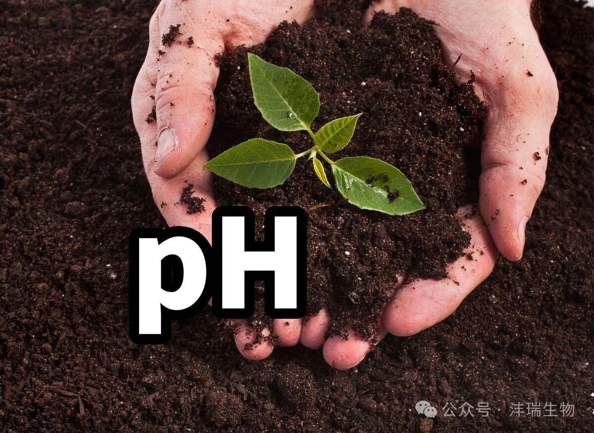 改良盐碱地，助力生态环境可持续发展，BIOAGRI?在行动！